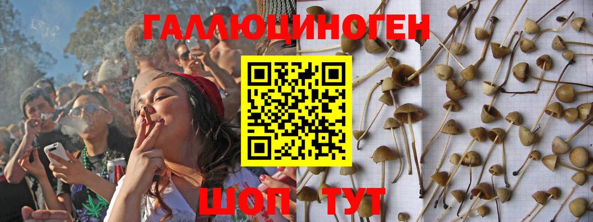 Псилоцибиновые грибы ЛСД Сегежа