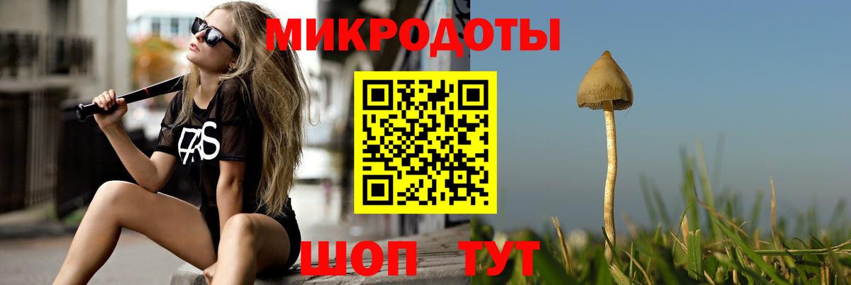 Сегежа  Псилоцибиновые грибы мухоморы  Псилоцибиновые грибы Magic Shrooms  Вход с VPN 